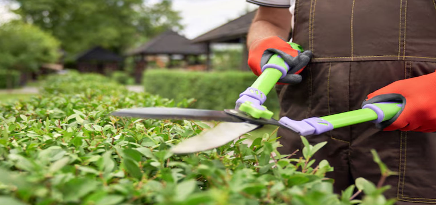 nettoyage et jardinage 